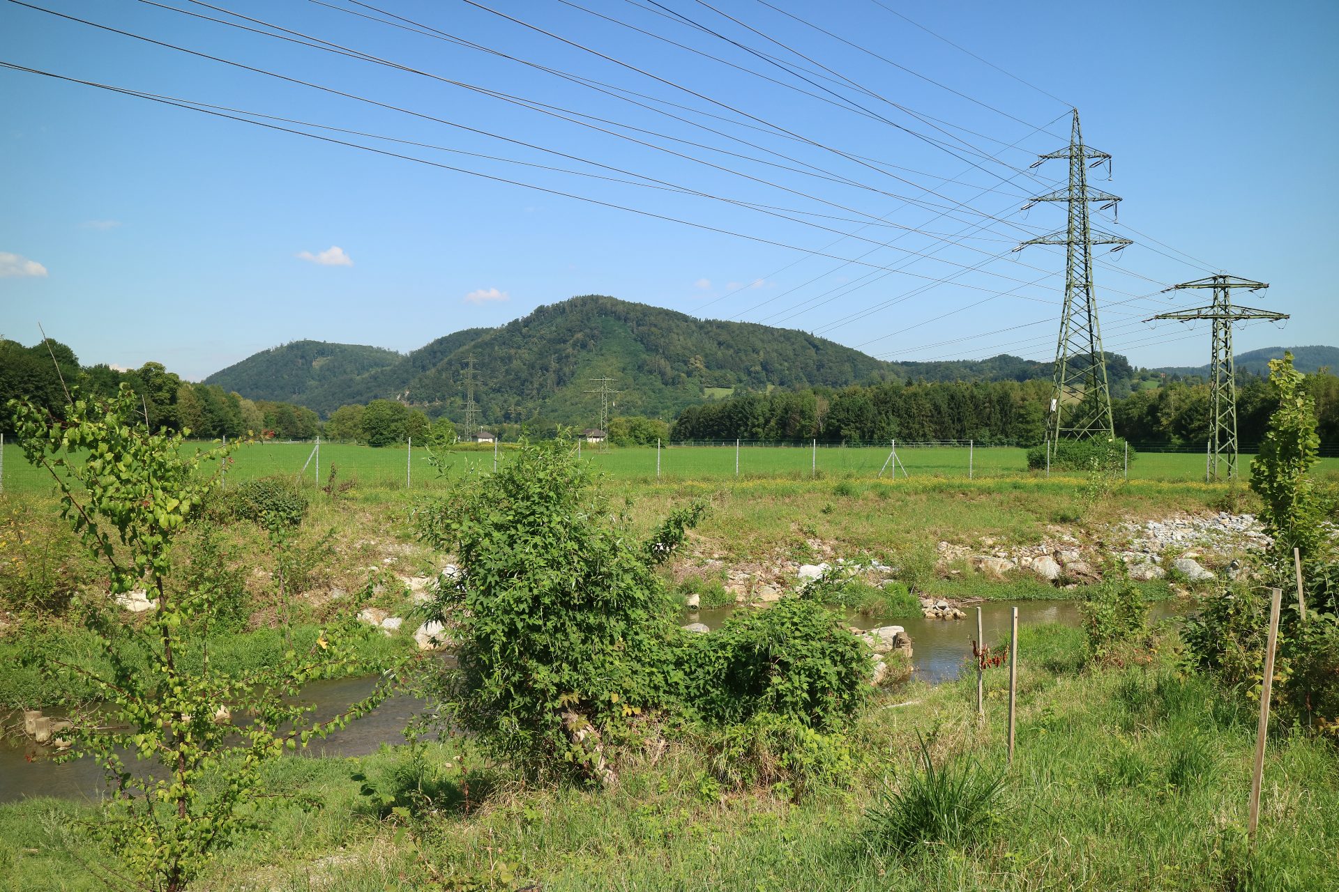 Wohnen im Kirschgarten
