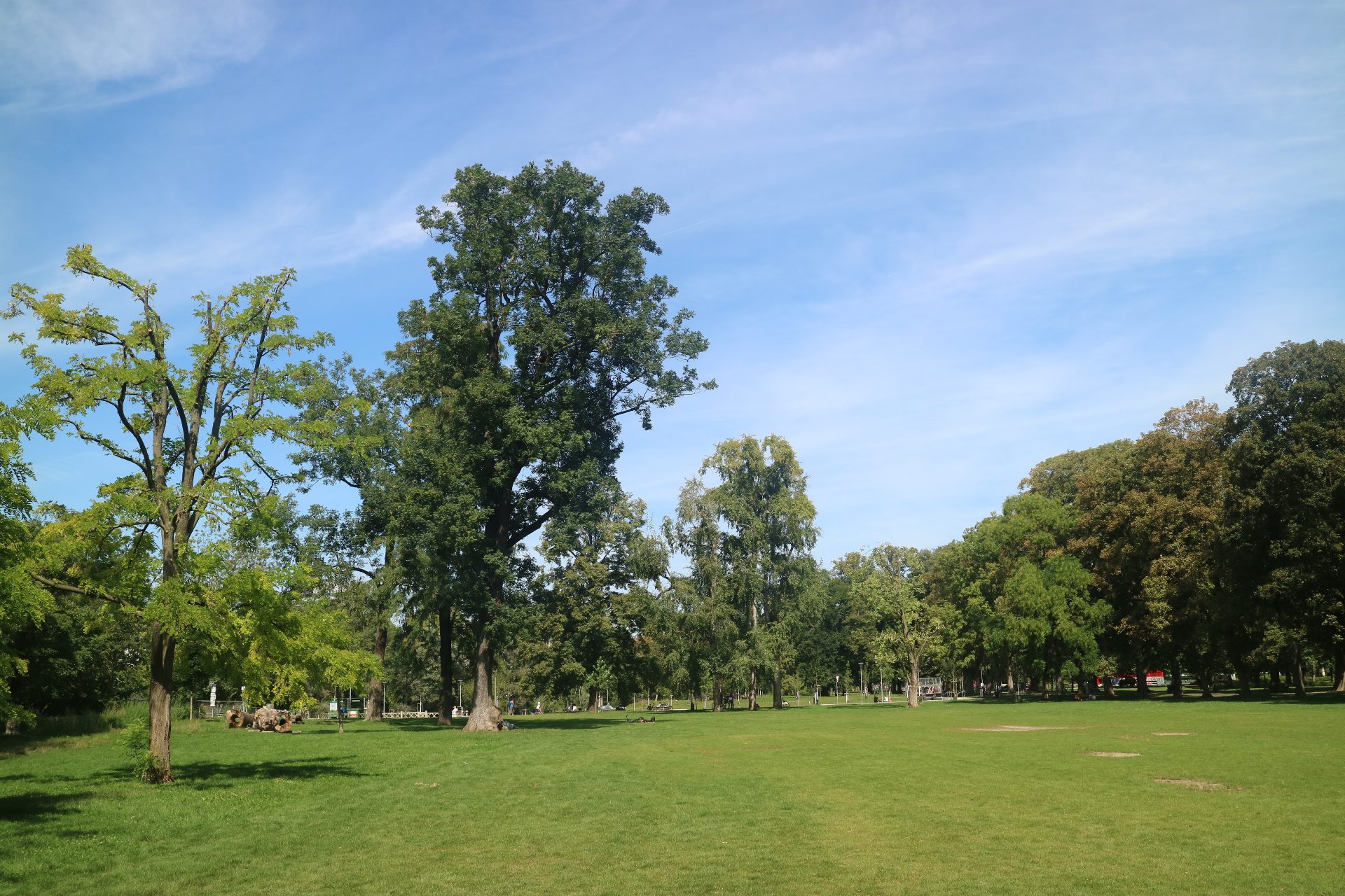 An Der Universität
