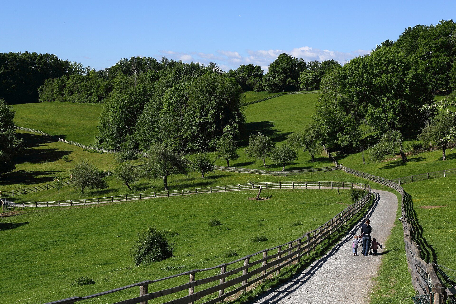 Exklusives Wohnen in Petersbergen/St. Peter- Peterstalstrasse